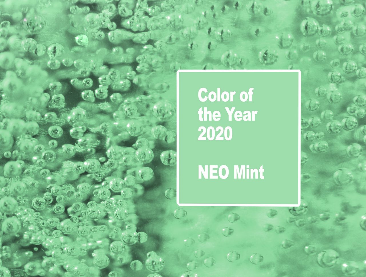 Свежий и насыщенный цвет года 2020 по версии WGSN